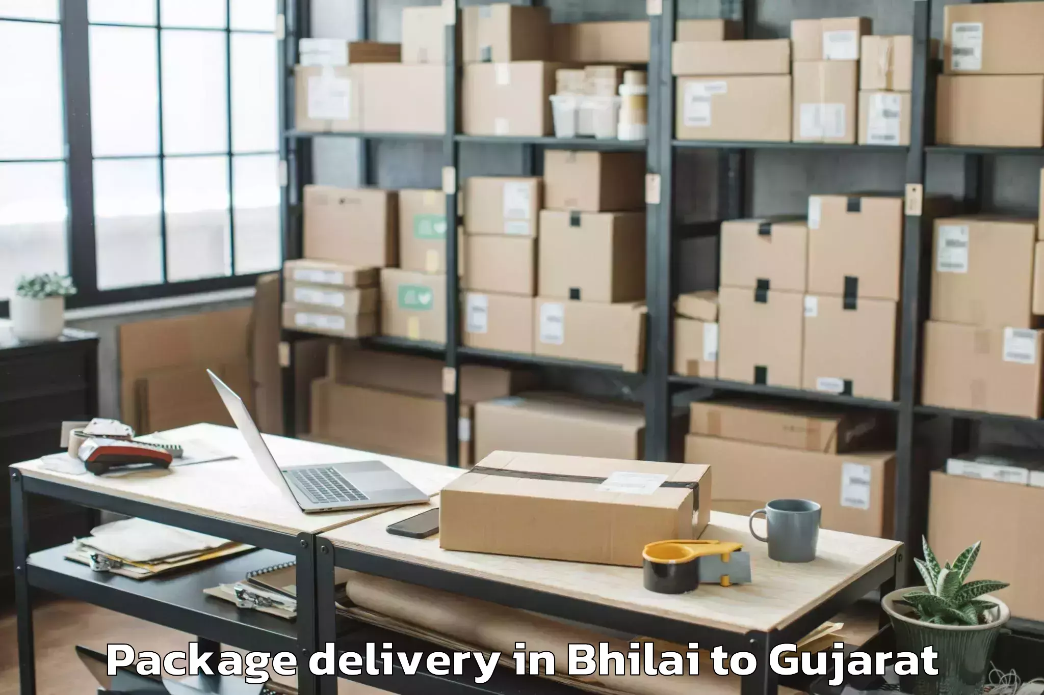 Hassle-Free Bhilai to Bagasra Package Delivery